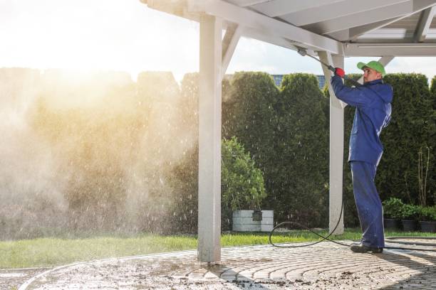Boat and Dock Cleaning in Winfield, AL